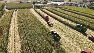 南宫官网在线 -包含&amp;5靘Nax?{#英{镰籉柫?€??	②q